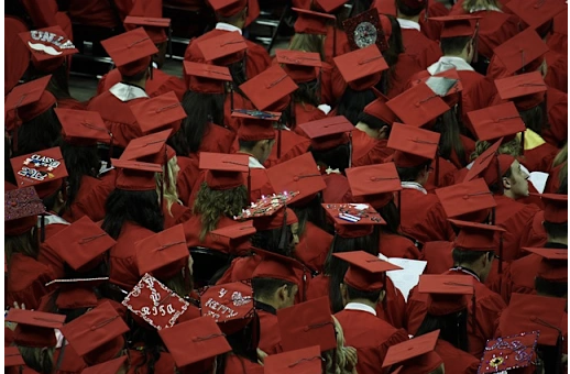 Celebrating Excellence: Your Student Voice Since 2024